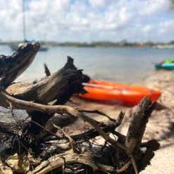 Pelican Sport Pulse 100X With Paddle Kayak -Pelican KOS10P102 00 LS4