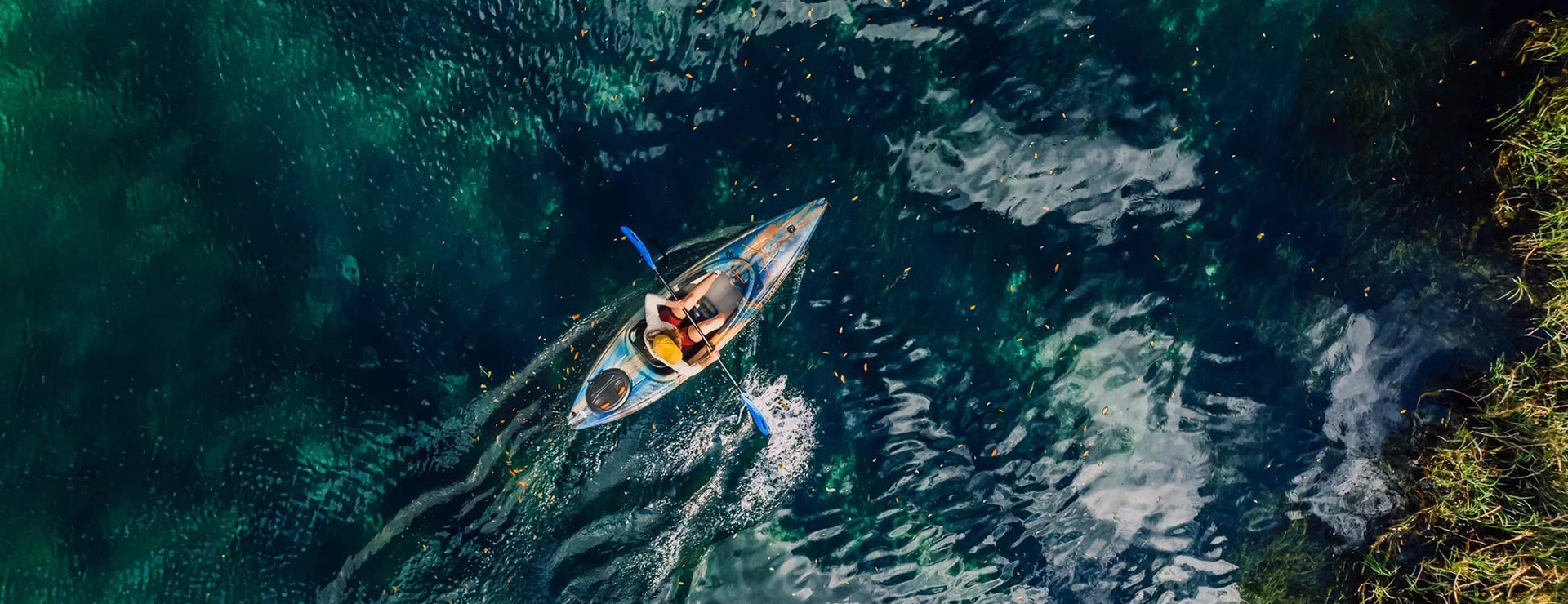 Pelican 1 Pelican -Pelican Pelican banner